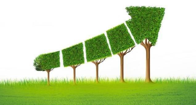 深圳长石新能源 引领绿色革命，共创可持续未来